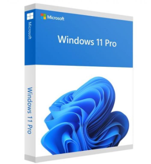 DVD do Windows 11 Pro ? 1 usuário