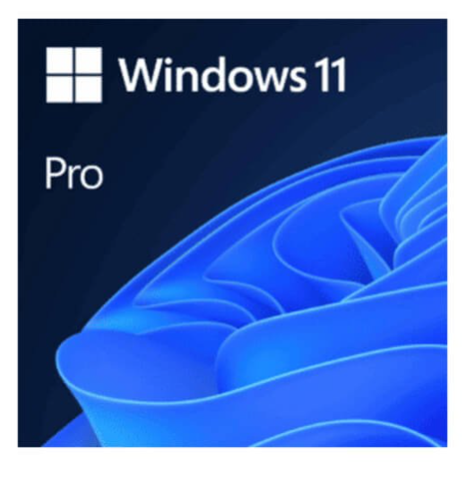 DVD do Windows 11 Pro ? 1 usuário