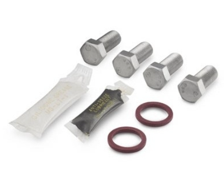 Kit de Vedação para Flange em Fluorcarbono FKM e Kit de Parafusos em Aço Inoxidável para M