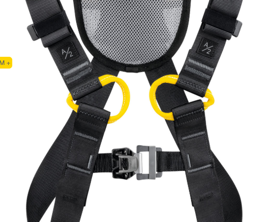 NEWTON FAST Versão Europeia