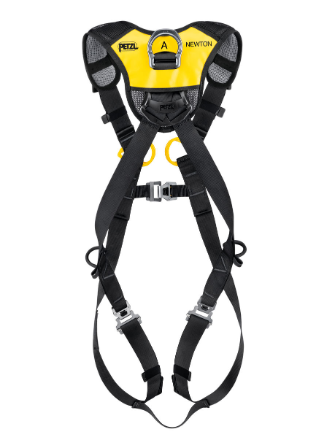 NEWTON FAST Versão Europeia