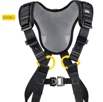 NEWTON FAST Versão Europeia