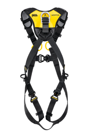 NEWTON FAST Versão Internacional