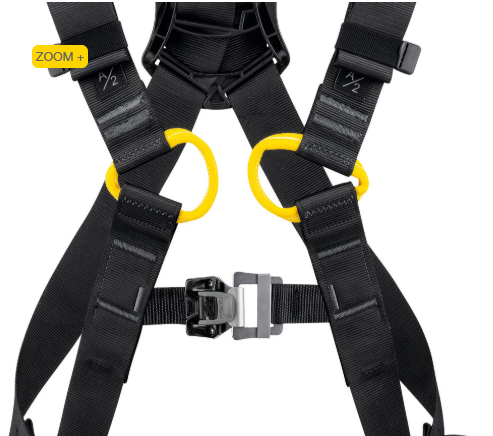 NEWTON versão europeia