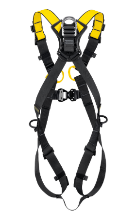 NEWTON versão internacional