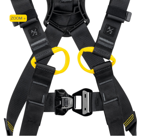 NEWTON versão internacional