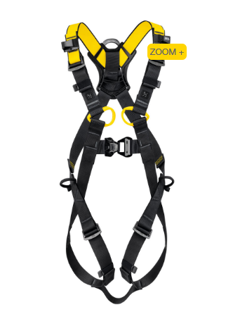 NEWTON versão internacional