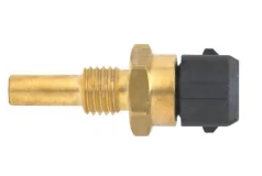 termómetro rosqueado