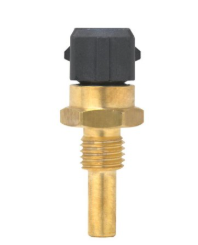 termómetro rosqueado