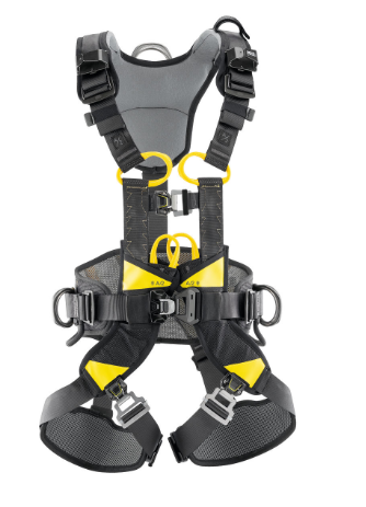 VOLT ? Versão Europeia