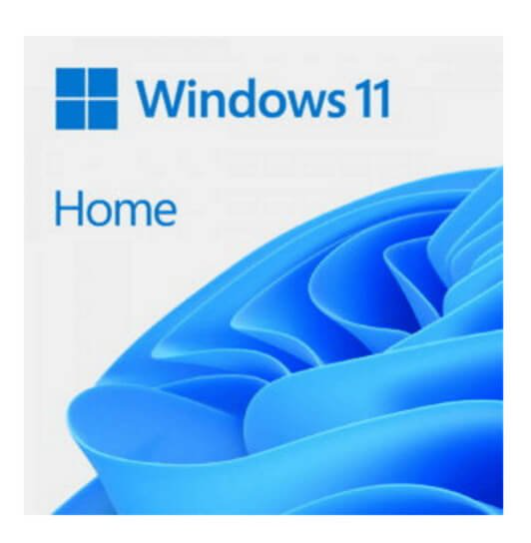 Windows 11 Home ESD ? 1 dispositivo (Download)