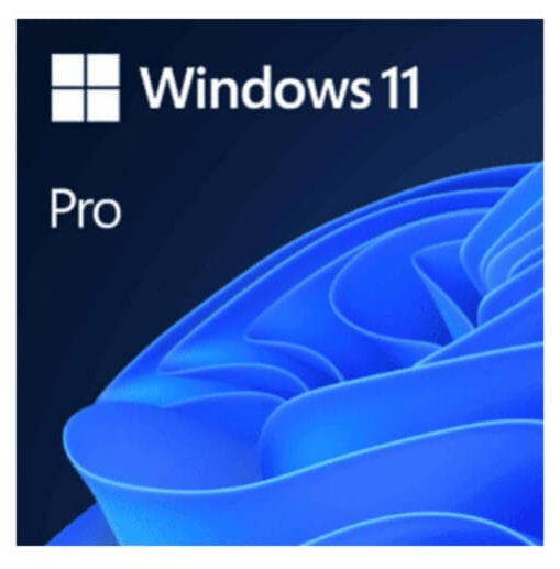 Windows 11 Pro ESD ? 1 usuário (download)